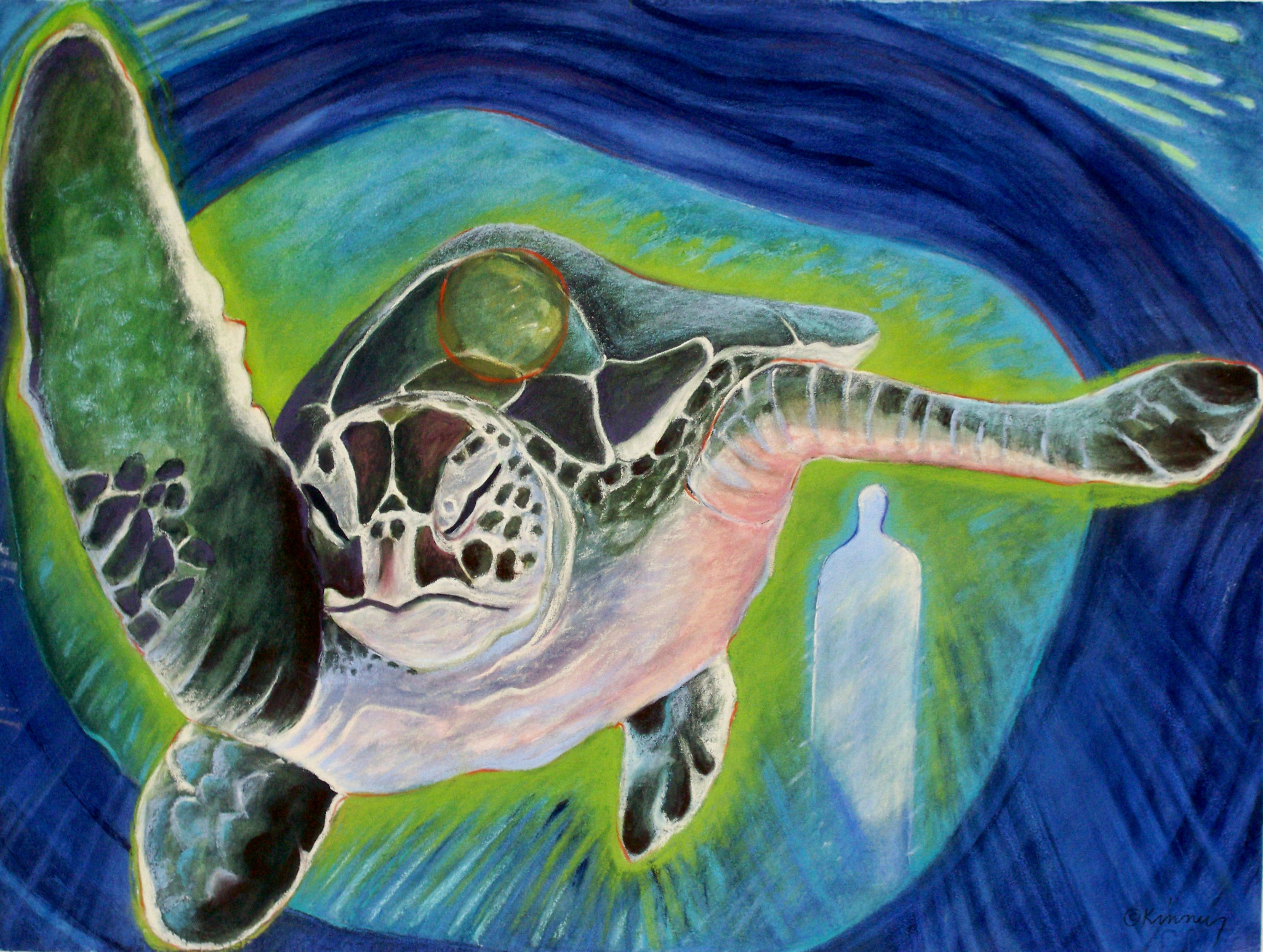 K327-G:Turtle Swims North